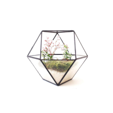Круглий прозорий геометричний квадратний скляний підвісний тераріум